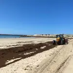 Retirada de alga asiática en la playa del Carmen de Barbate. AYUNTAMIENTO DE BARBATE