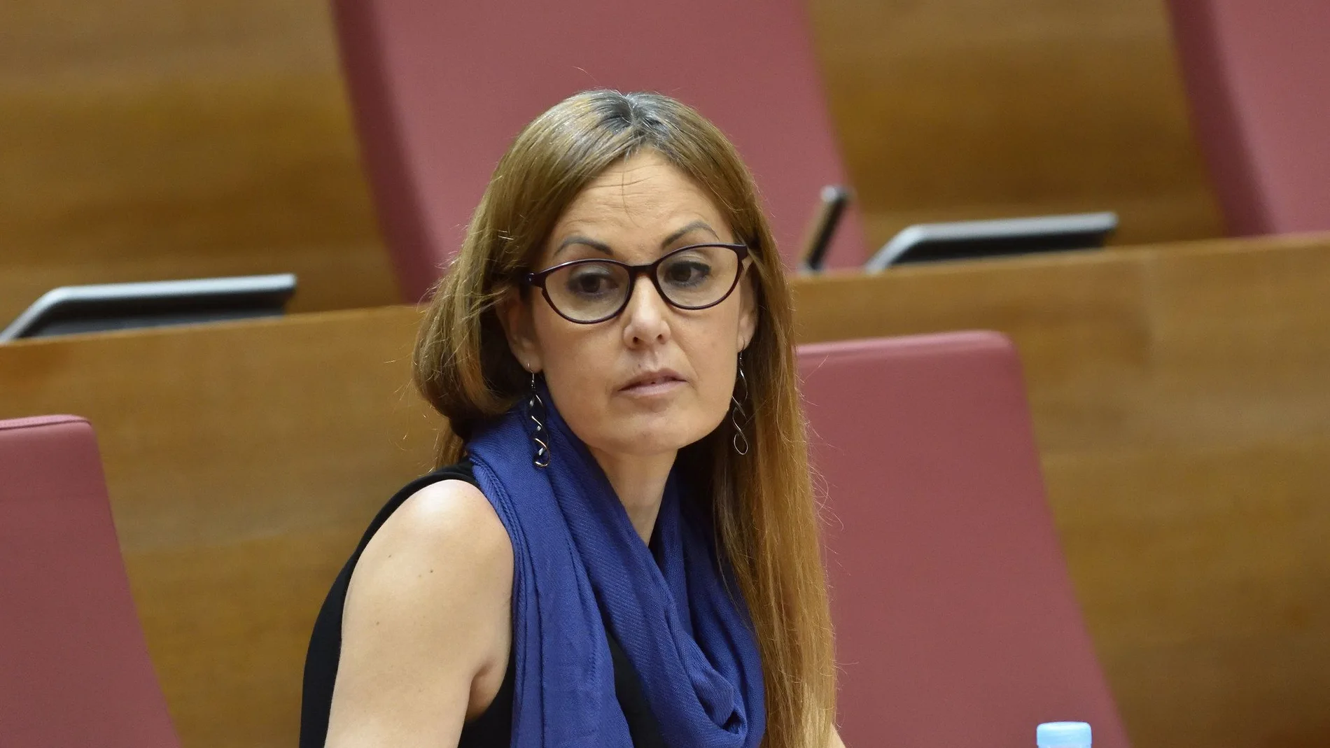La diputada del PP, Elisa Diaz