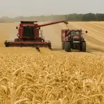 Agricultor cosechando en el campo