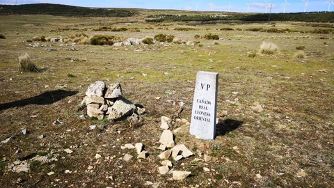 La vía pecuaria de la Cañada Real Leonesa Oriental a su paso por Navalperal de Pinares