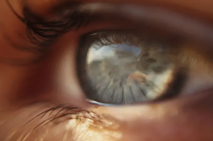 Investigadores españoles descubren el potencial de un fármaco contra los daños del glaucoma