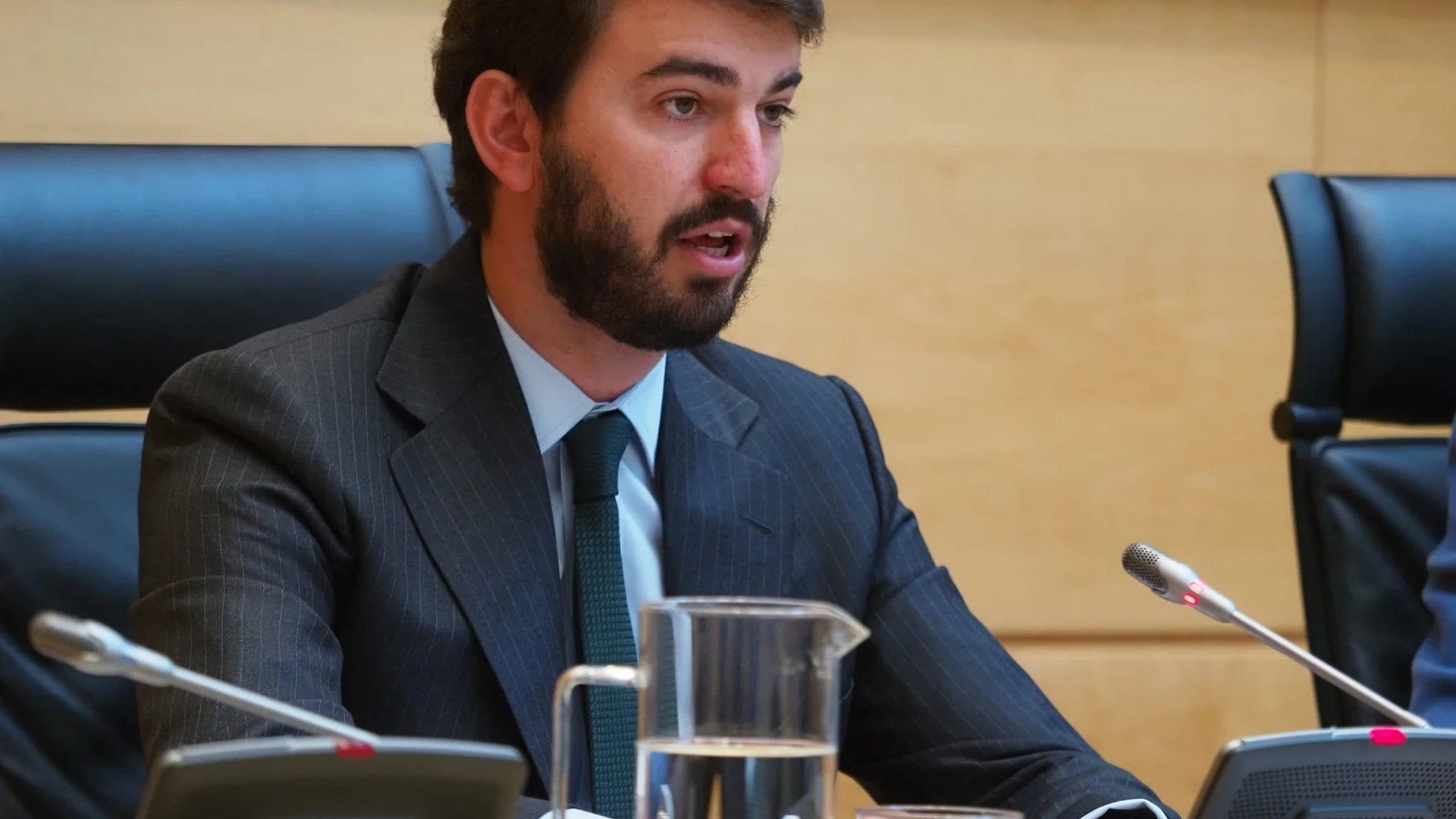 García-Gallardo en un momento de su comparecencia en la Comisión de Presidencia el pasado lunes en las Cortes