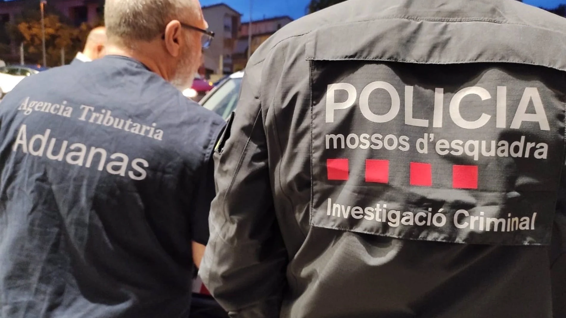 Agentes de los Mossos d'Esquadra y la Unidad de Vigilancia Aduanera de la Agencia Tributaria. Los Mossos d'Esquadra y la Unidad de Vigilancia Aduanera de la Agencia Tributaria han detenido a una cincuentena de personas en un operativo policial este martes contra un grupo que presuntamente cultivaba y traficaba con marihuana en Catalunya, han informado fuentes próximas a la investigación a Europa Press. ESPAÑA EUROPA CATALUÑA SOCIEDAD MOSSOS D'ESQUADRA