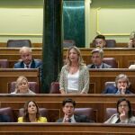 Intervención de la portavoz de Servicios Sociales del GPP, Alicia García, durante la sesión de control de Gobierno