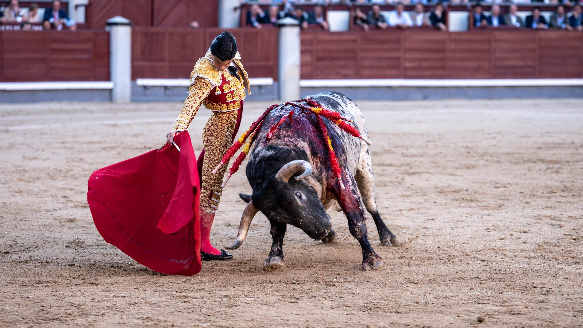 Pablo Aguado ayer en Las Ventas