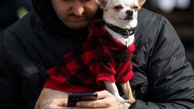 Imagen de un perro con un abrigo en los brazos de su dueño mientras este mira su teléfono movil.