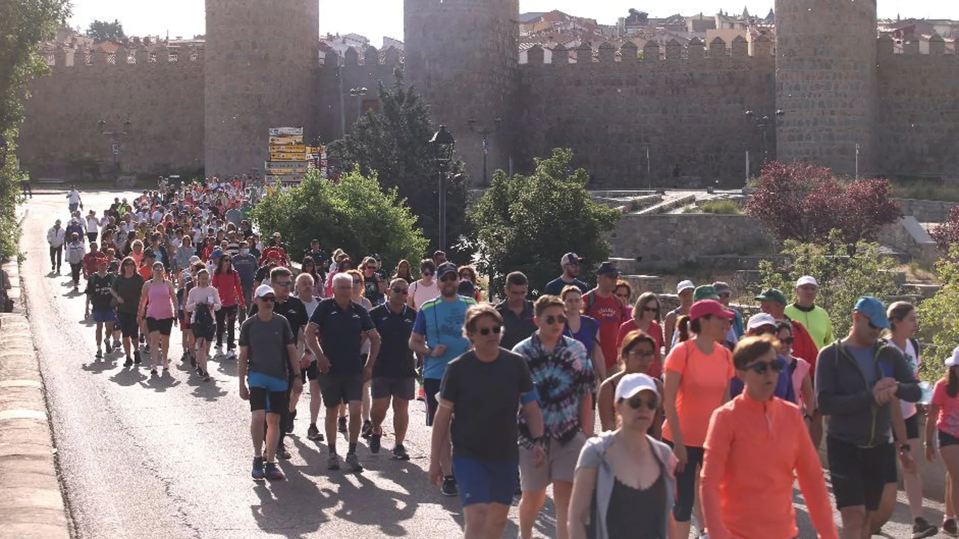 Gran Marcha Pronisa por la Discapacidad en Ávila