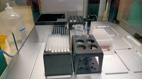 Pruebas de laboratorio para detectar la presencia de viruela del mono