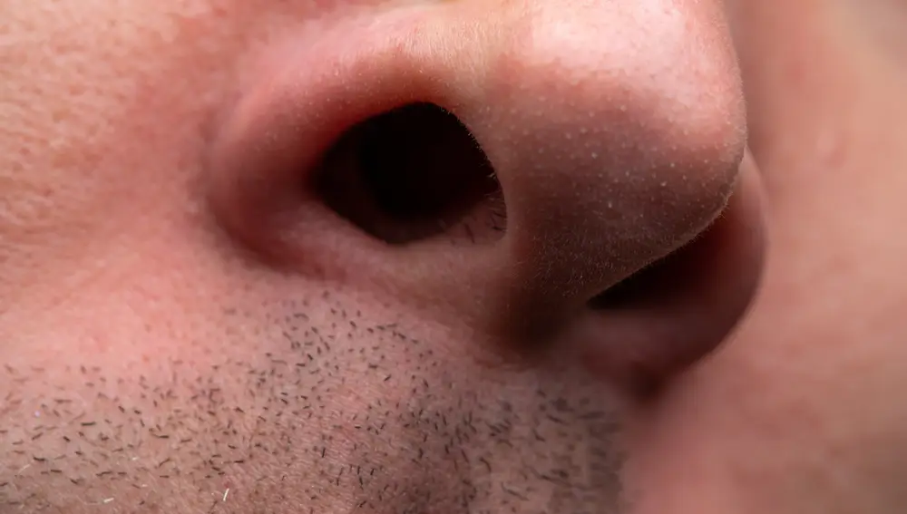 ¿Qué predice la pérdida rápida del olfato?