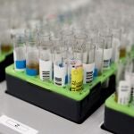 Probetas de pruebas en el Laboratorio de Microbiología