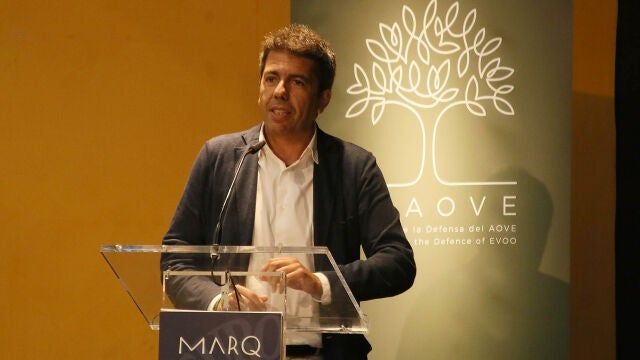 El presidente de la Diputación de Alicante, Carlos Mazón, hoy durante la celebración del Congreso