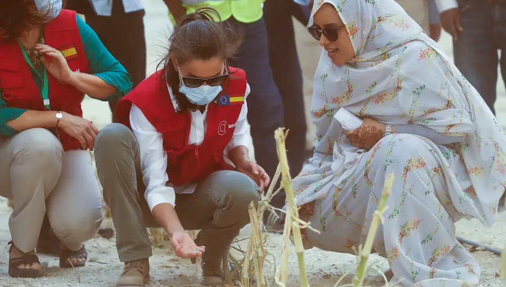 La reina Letizia visita un proyecto de huertos urbanos en Mauritania