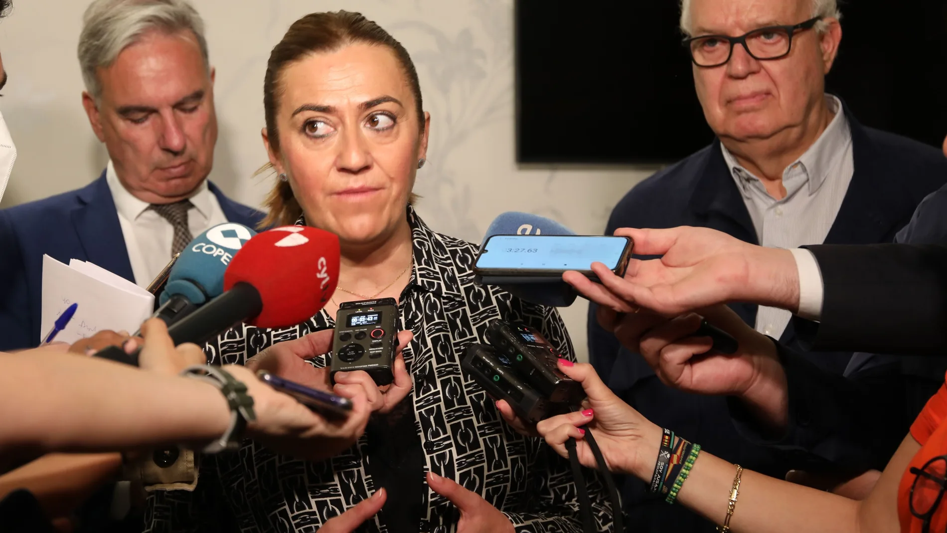 La delegada del Gobierno en Castilla y León, Virginia Barcones, atiende a los medios de comunicación en Palencia
