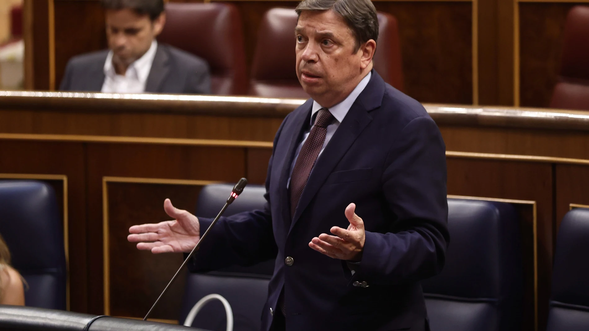 El ministro de Agricultura, Pesca y Alimentación, Luis Planas, interviene en una sesión de control al Gobierno