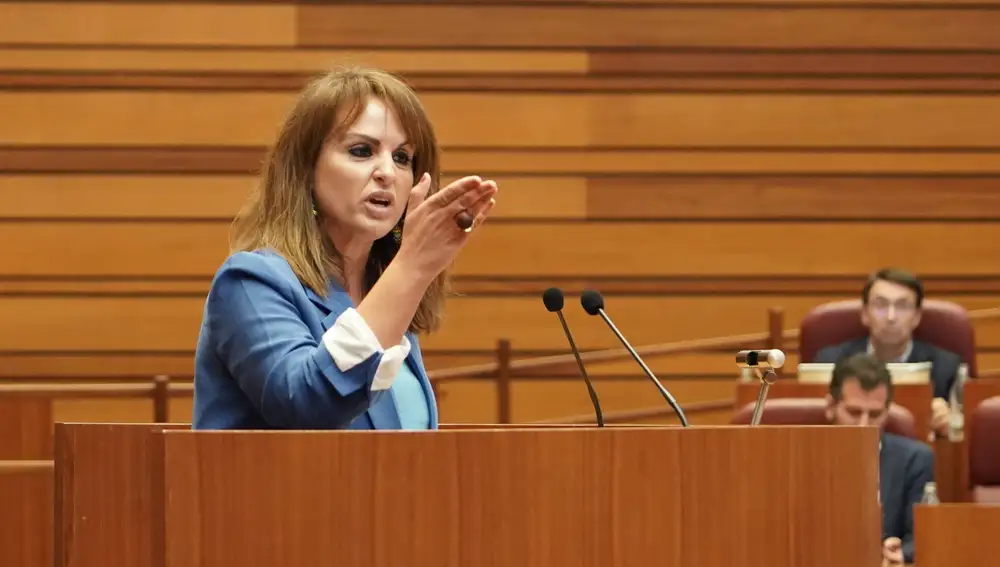 La socialista Patricia Gómez interviene en las Cortes