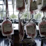 Varias bolsas de transfusión de sangre colgadas en una sala del Centro de Transfusión de la Comunidad de Madrid, en una imagen de archivo