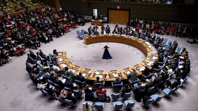 Consejo de Seguridad de la ONU