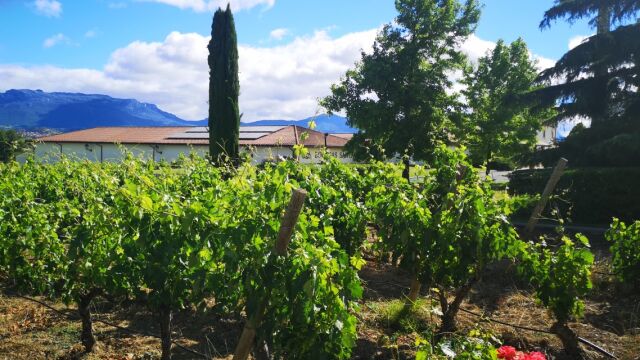 Bodegas Santalba - La Rioja