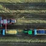 Imagen tomada desde un dron de una cosechadora combinada que recolecta la cebada en un campo cercano a la localidad de Villaveta