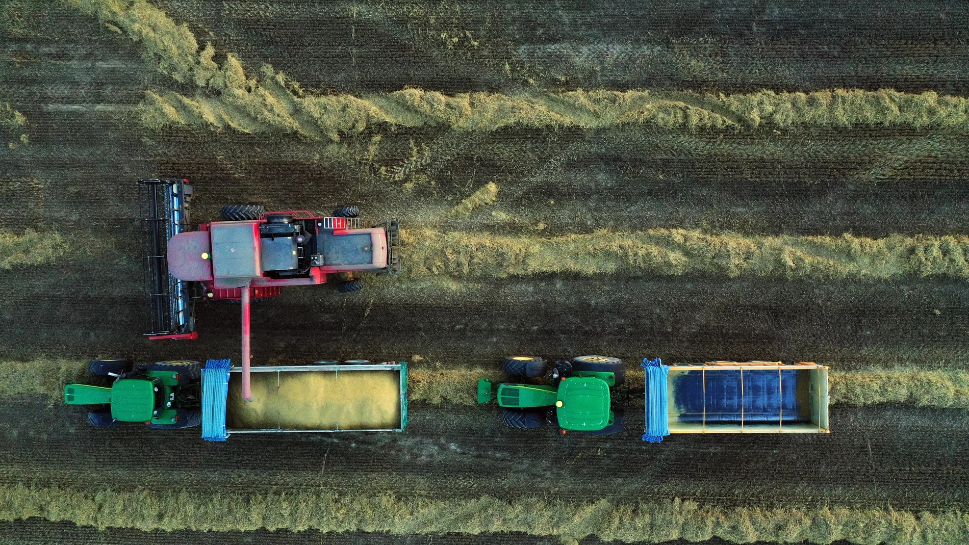 Imagen tomada desde un dron de una cosechadora combinada que recolecta la cebada en un campo cercano a la localidad de Villaveta