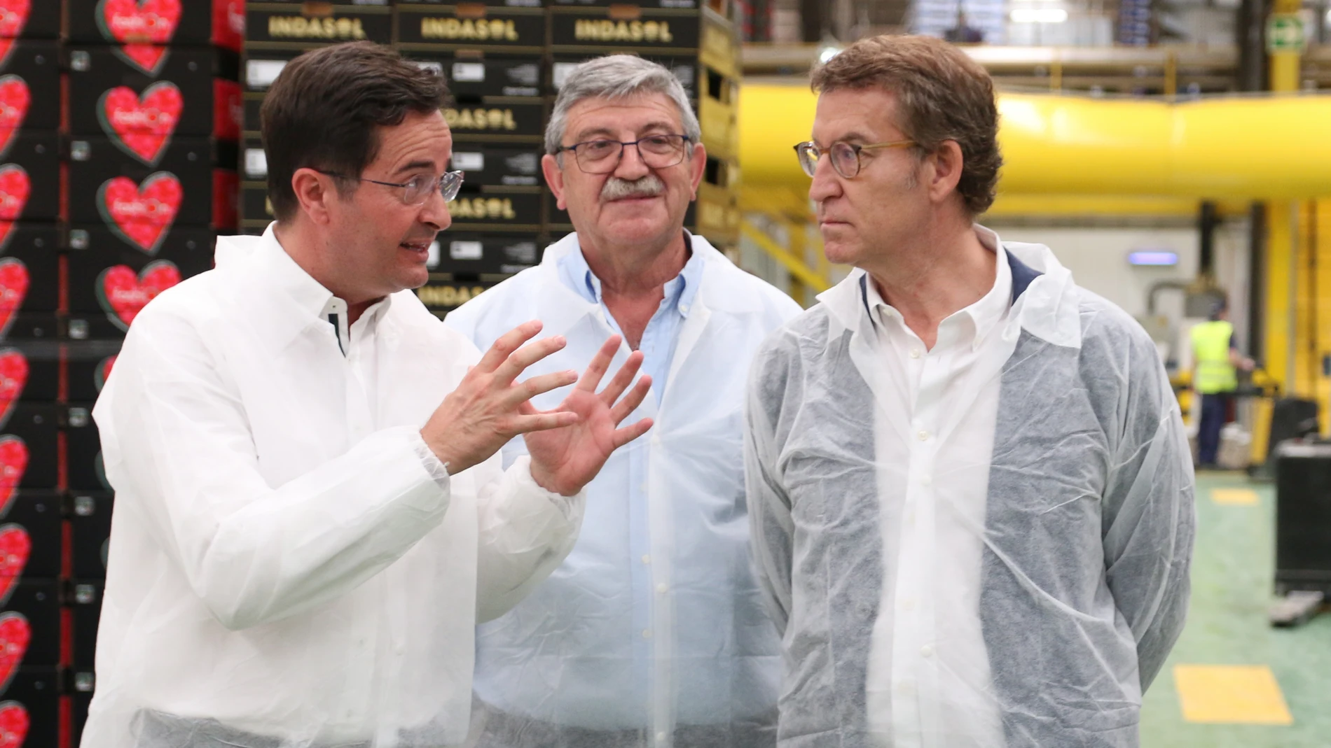 El presidente del PP, Alberto Núñez Feijóo, durante su visita a la empresa Indasol, donde ha mantenido un encuentro con empresarios del sector agrícola a 15 de junio del 2022 en El Ejido (Andalucía, Almería).