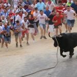 Toro enmaromado de Benavente