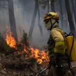 Un bombero trabaja en la extinción del incendio en la Sierra Culebra , a 16 de junio de 2022, en Zamora, Castilla y León, (España)