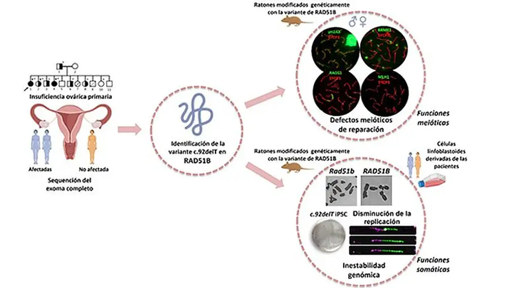 Investigación del Centro del Cáncer de Salamanca