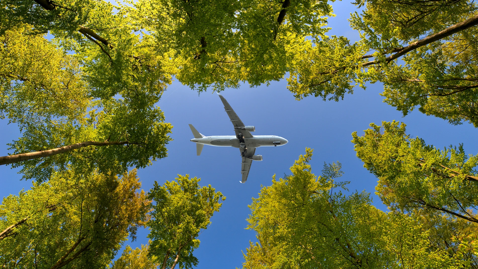 La UE quiere reducir las emisiones de CO2 de la aviación en un 55% en 2030 y lograr la neutralidad en carbono en 2050