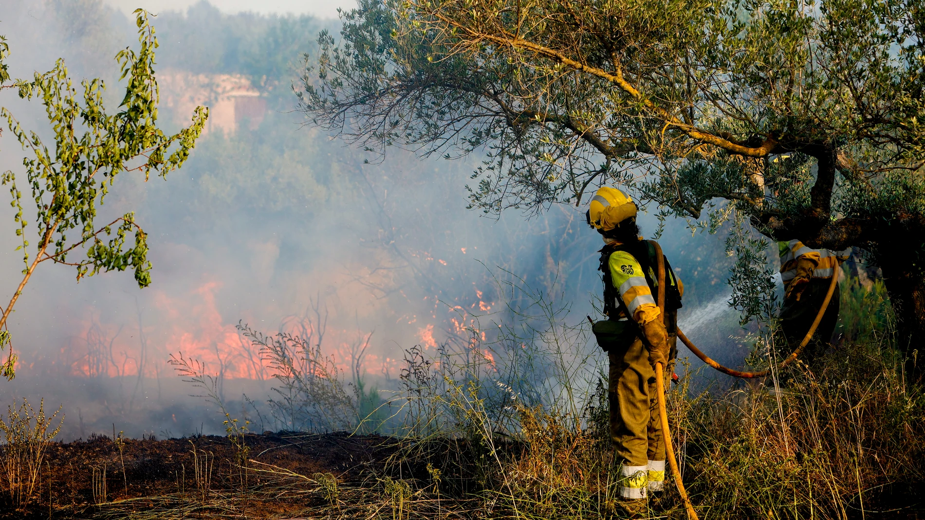 Las labores de extinción del incendio forestal declarado este viernes en Caudiel (Castellón) se centran en la defensa de la primera línea de viviendas de la localidad