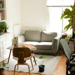 Entre las ventajas de llenar la casa de plantas, está el que refrescan el ambiente gracias a su proceso de transpiración.
