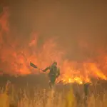 El fuego de Zamora avanza al norte, quema 25.000 hectáreas, y corta el AVE a Galicia y la N-631 