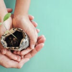 Educación para el Desarrollo Sostenible