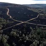 Imagen tomada con un dron de la superficie calcinada en el incendio forestal de la reserva de la Sierra de la Culebra
