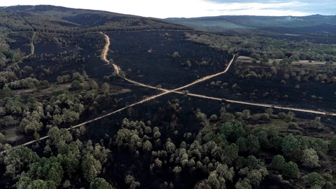 Imagen tomada con un dron de la superficie calcinada en el incendio forestal de la reserva de la Sierra de la Culebra