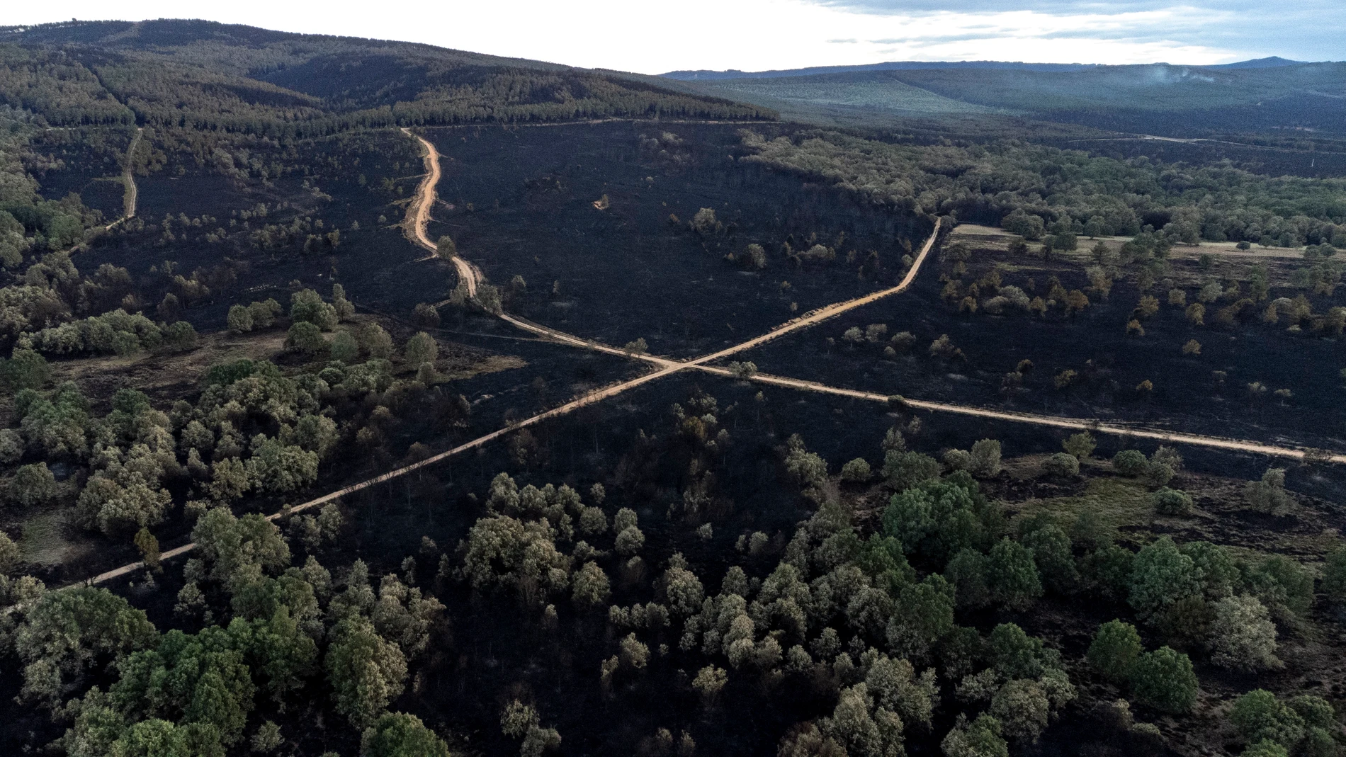Imagen tomada con un dron de la superficie calcinada en el incendio forestal de la reserva de la Sierra de la Culebra