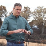 El presidente del Gobierno, Pedro Sánchez
