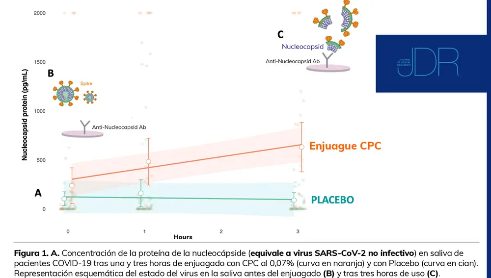 Los colutorios con cloruro de cetilpiridinio reducen la capacidad infecciosa del covid en saliva