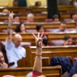 Pleno en el Congreso de los Diputados. Votaciones.