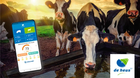 Desde hace algunos años, el campo atraviesa un proceso de profundo cambio a un ritmo acelerado hacia una modernización nunca vista anteriormente en este sector