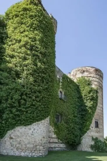 Castillo de Castilnovo