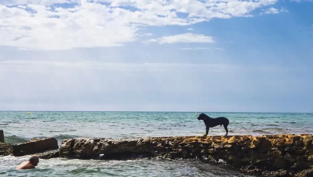 Imagen de la playa para perros de Agua Amarga (Alicante)