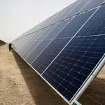 Un trabajador inspecciona una planta solar