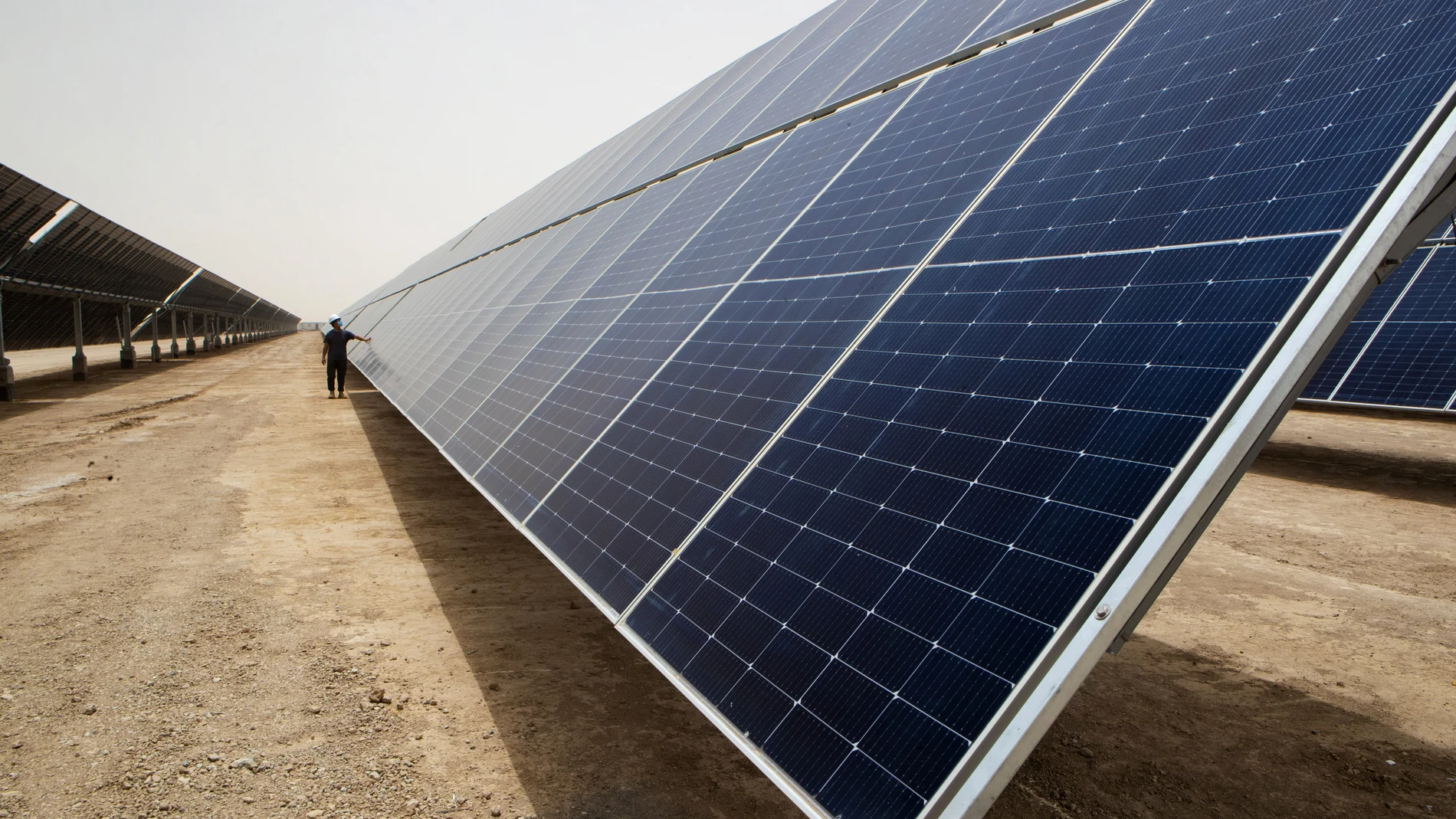 Un trabajador inspecciona una planta solar