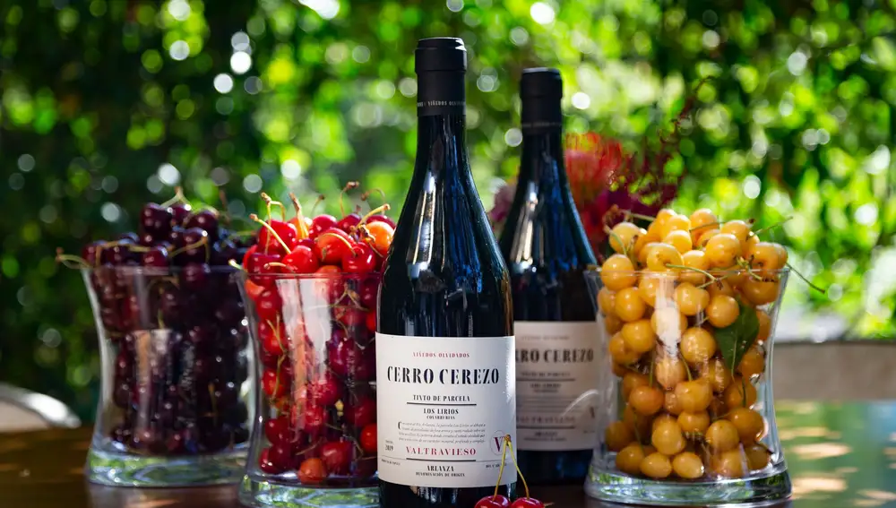 Vino Viñedos Olvidados