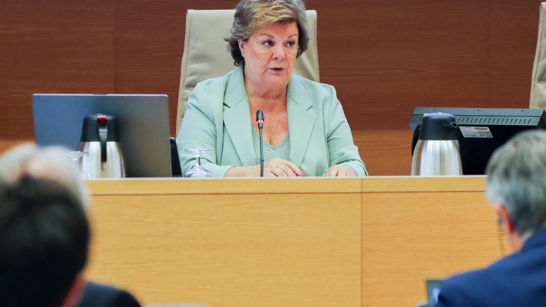 La presidenta del Tribunal de Cuentas, Enriqueta Chicano (c), durante una comparecencia en el Senado