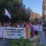 Manifestación en favor del colectivo LGTBi en Valladolid el pasado año