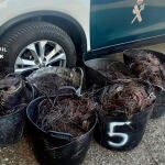 Cuatro detenidos por once robos de cableado de cobre al sur de la provincia de Salamanca