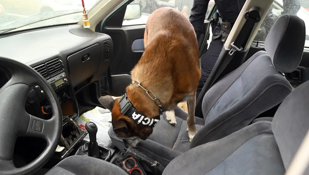 Unidad Canina de la Policia Local de Burgos