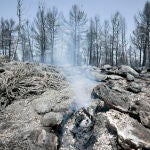 Ocho medios aéreos se incorporan a primera hora de esta mañana a los trabajos de extinción del incendio declarado el domingo en Venta del Moro, en el límite entre Valencia y Cuenca